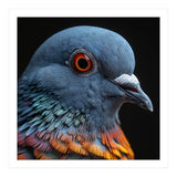 Close Up Of A Pigeon Bird (Print Only) thumbnail