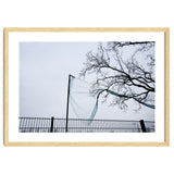 Net caught in a tree thumbnail