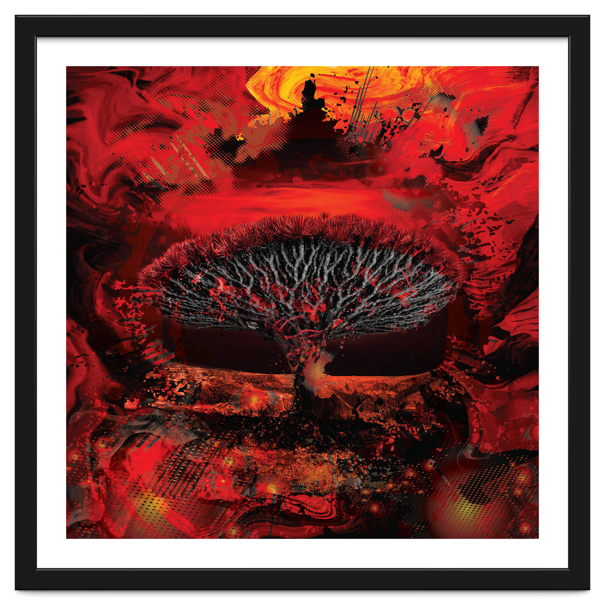 Socotra Dragon Blood tree