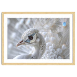 Close-up of a White Peacock thumbnail