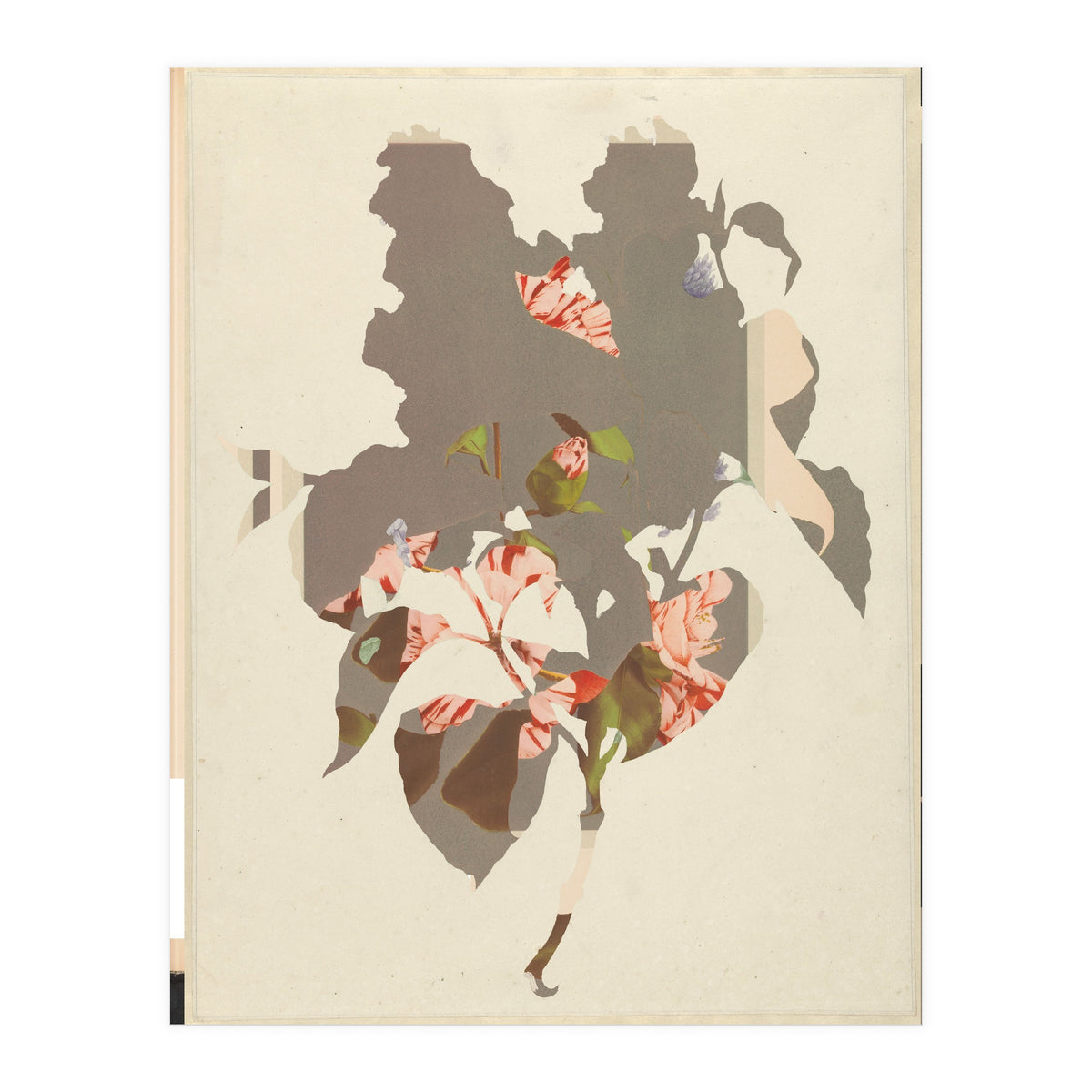 The First Plant · M2 (Print Only)