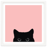 Black cat thumbnail