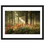 The poppy forest thumbnail