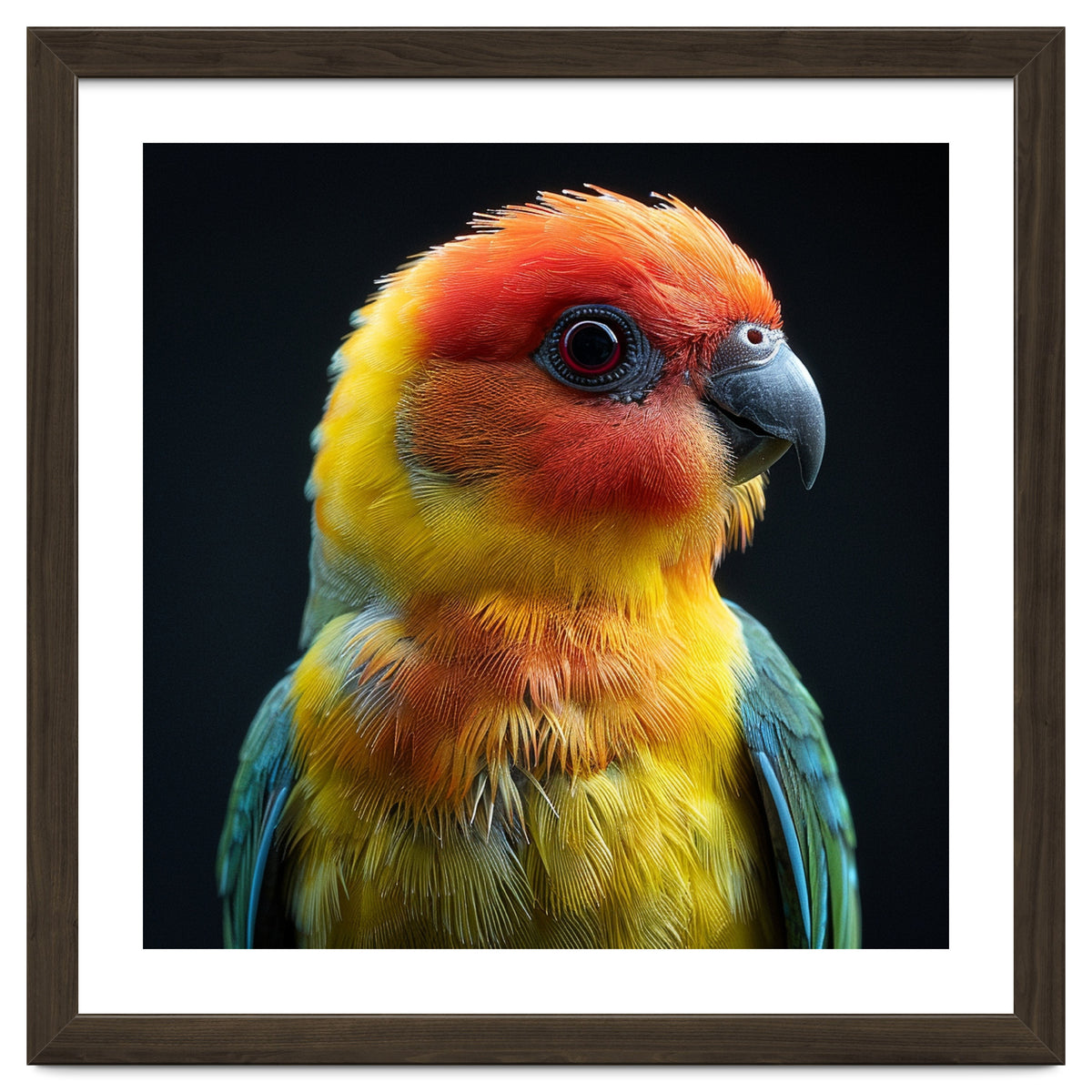 Vibrant Sun Conure Parrot Close Up Portrait