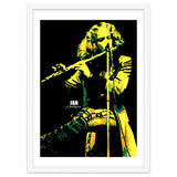 Ian Anderson Musician Legend thumbnail