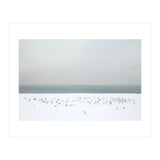 Seagulls in the winter snow beach (Print Only) thumbnail