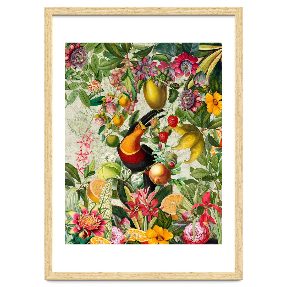 Toucan vintage jungle 1