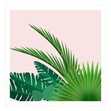 Tropical (Print Only) thumbnail