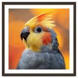 Cockatiel Parrot Close Up thumbnail