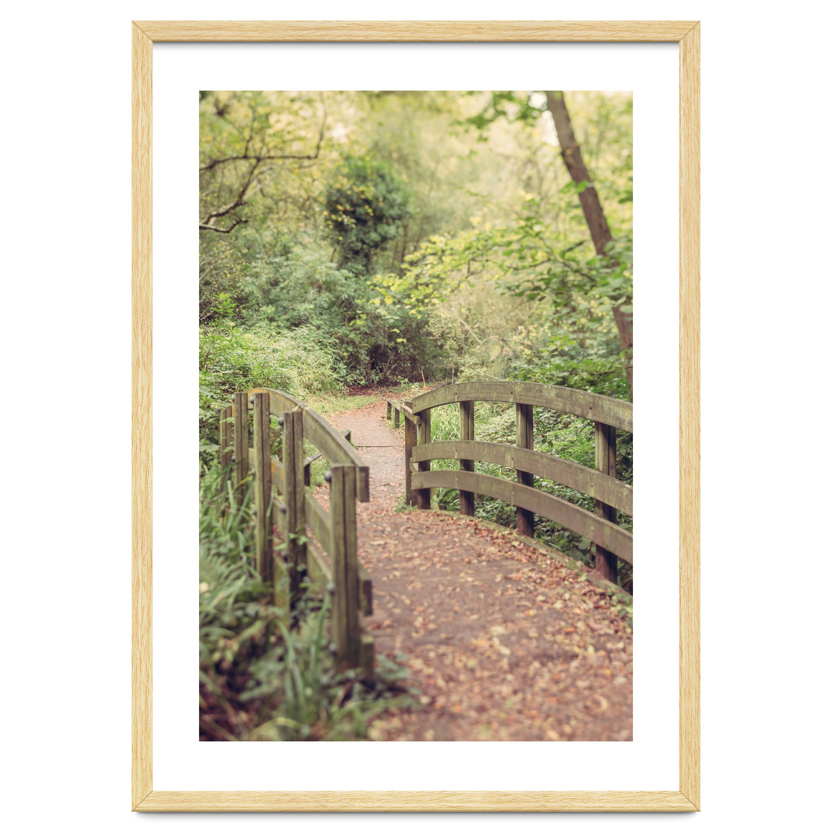 Path To The Bridge
