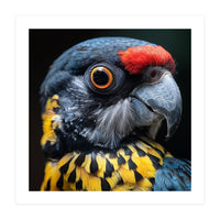 Close-up Portrait of a Vibrant Parrot (Print Only)