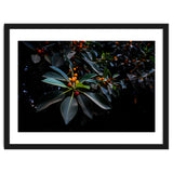 Orange, Green and Dark thumbnail