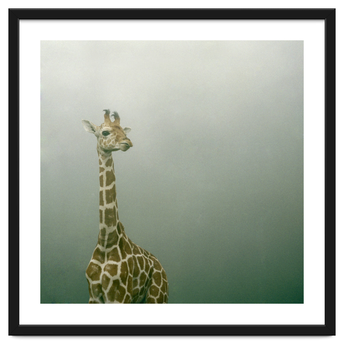 Silence of breath - 08