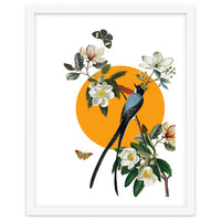 collage floral birds