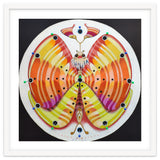Clock butterfly thumbnail