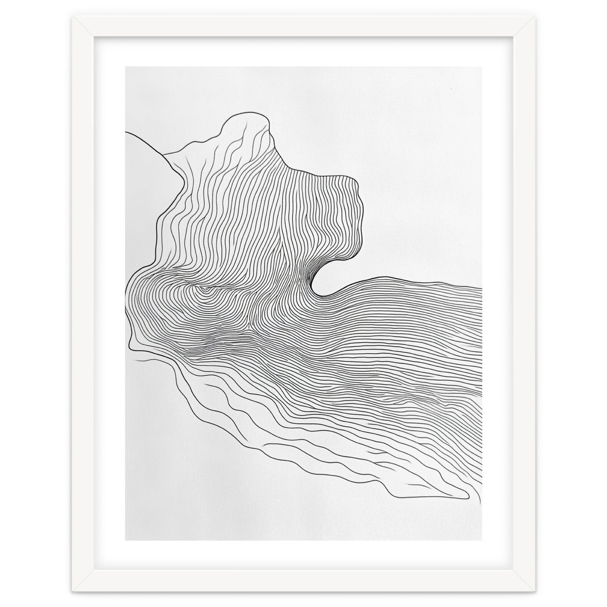 Abstract Black And White Organic Flowing Lines Pattern