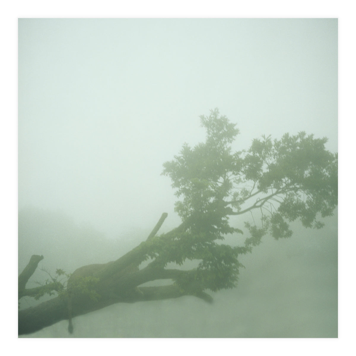 Silence of breath - 07 (Print Only)