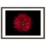 Backyard Flowers No 45 Color Flow Version thumbnail