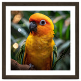 Sun Conure Parrot Colorful Bird Perched On Branch thumbnail