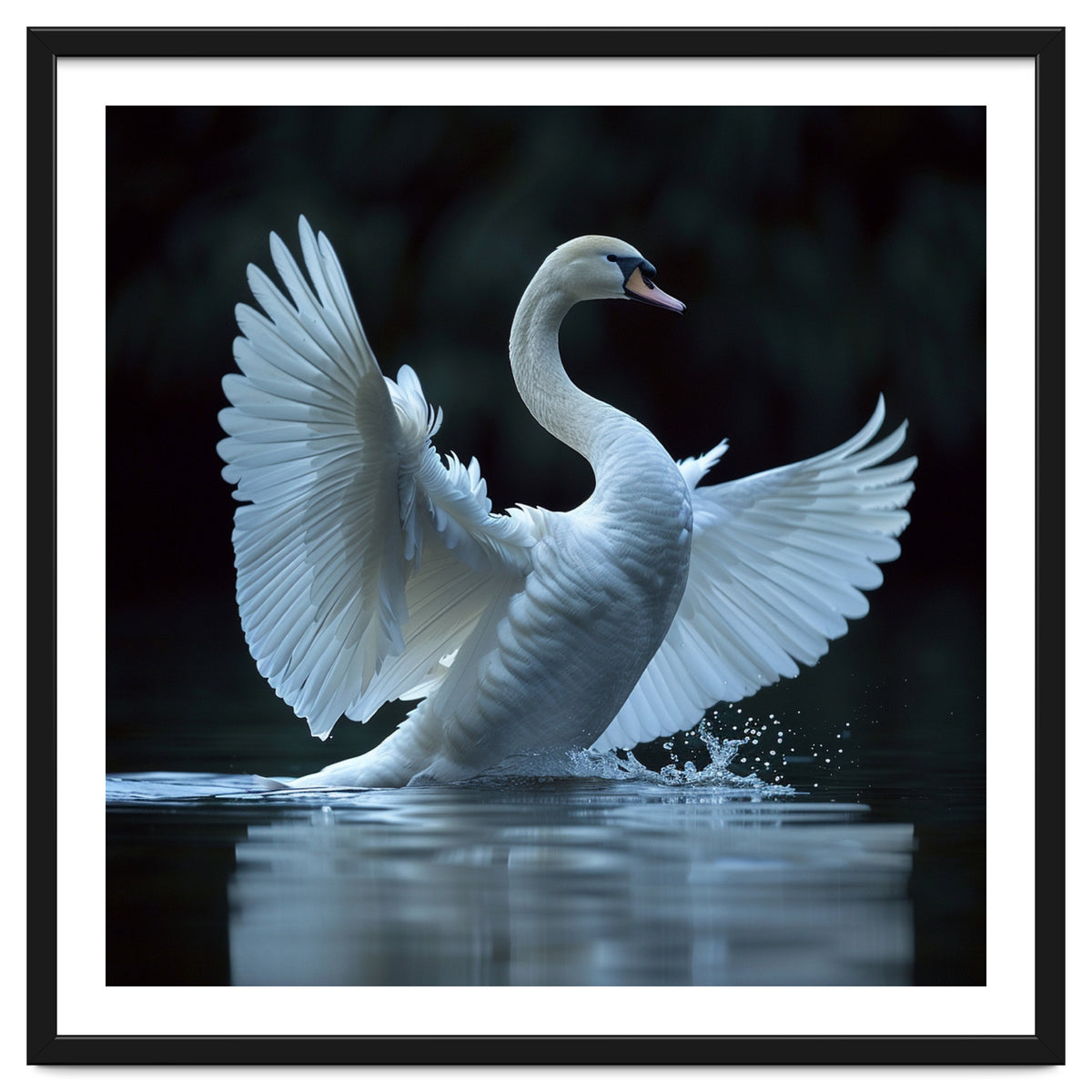 Majestic White Swan Spreading Wings On Water