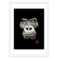 Angry Gorilla White In Black