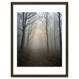 Ethereal Morning Light Breaking Through Dense Forest Fog thumbnail