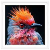 Close Up Of Exotic Bird With Vibrant Plumage