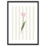 Single Tulip thumbnail
