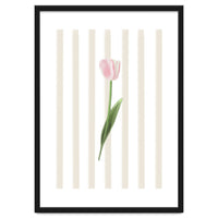 Single Tulip