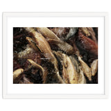 Fish01 thumbnail