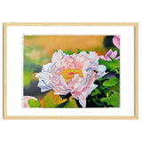 peony thumbnail