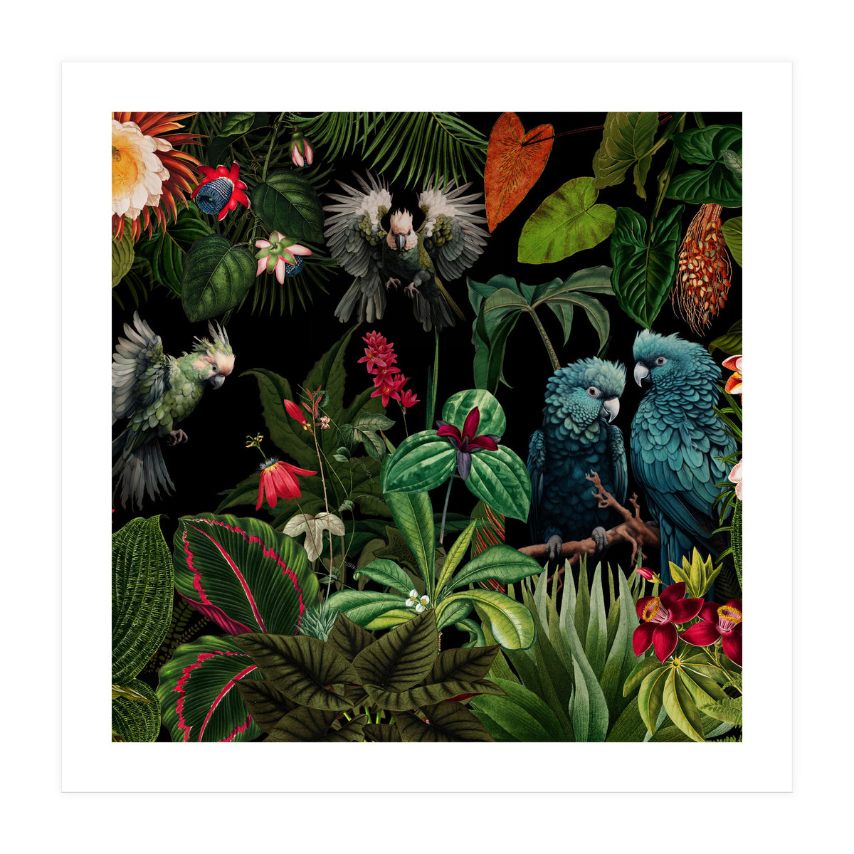 Moody Botanical Midnight Jungle Birds (Print Only)