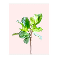 Intimate Energy, Blush Pastel Botanical Plant Minimal Painting, Pink Green Nature (Print Only)