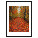 Lush Autumn Forest Path Covered thumbnail