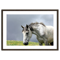 White Horse