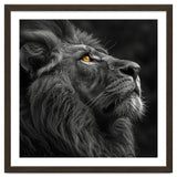 Majestic Lion Face Closeup Golden Eyes Black thumbnail