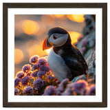Puffin Bird Amidst Purple Flowers Golden Hour thumbnail
