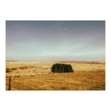 Dartmoor 2018 (Print Only) thumbnail
