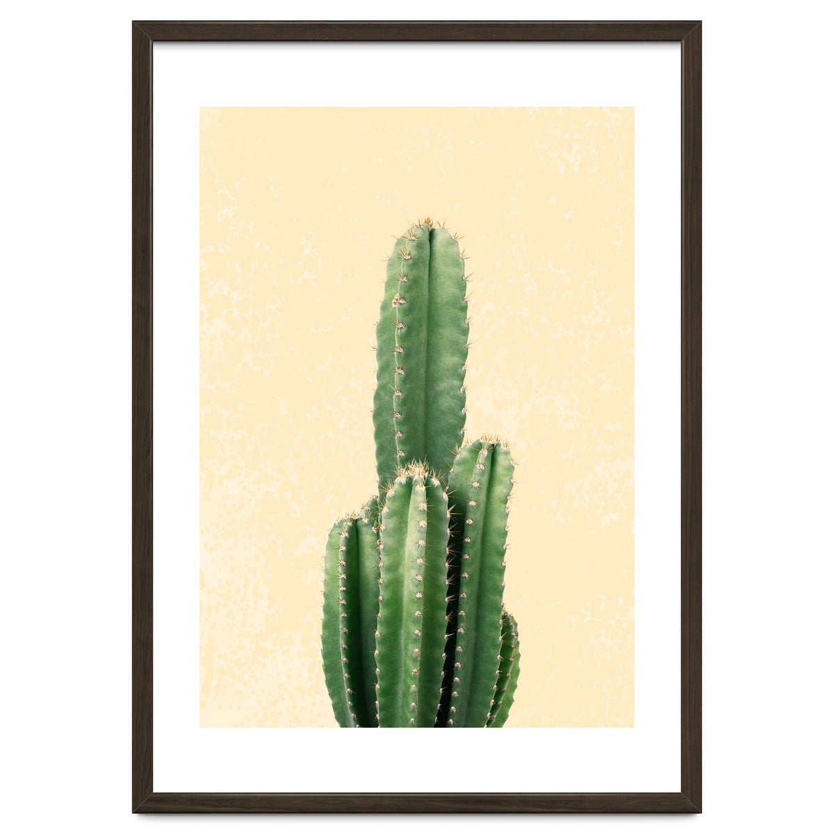 Tall Cactus, Minimal Desert Saguaro Art