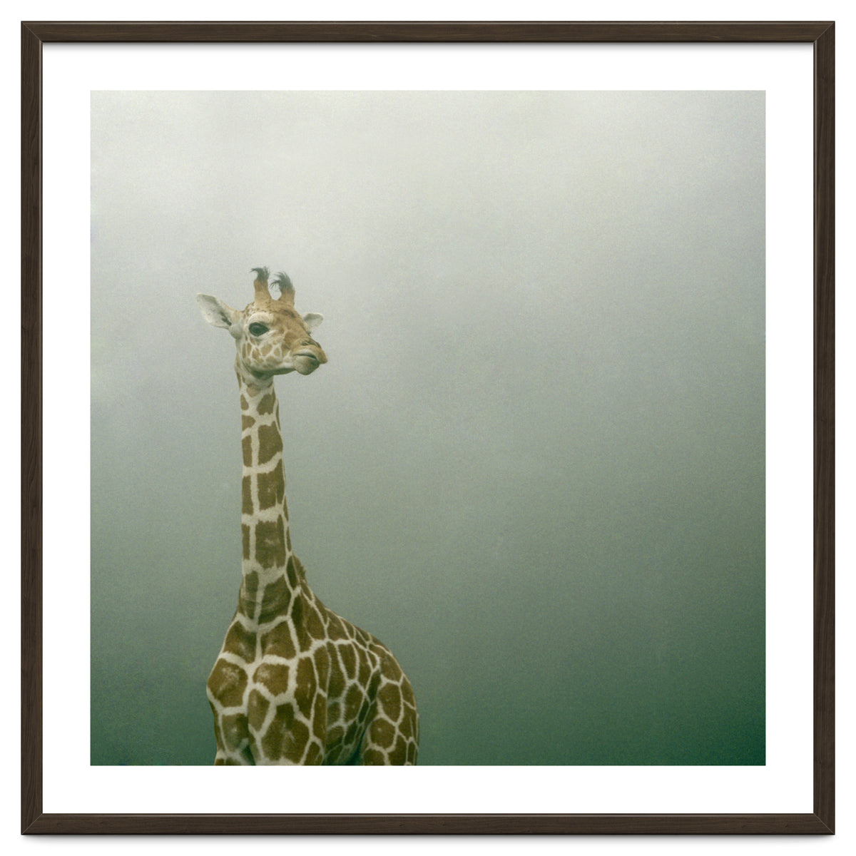 Silence of breath - 08