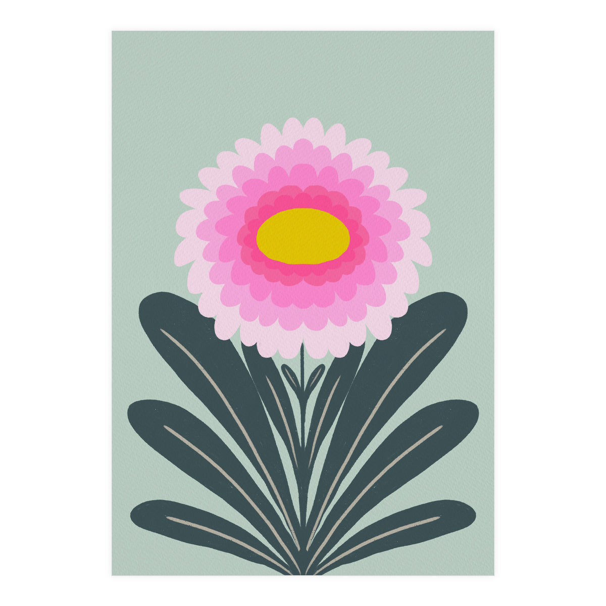 Chrysanthemum - turquoise and pink (Print Only)