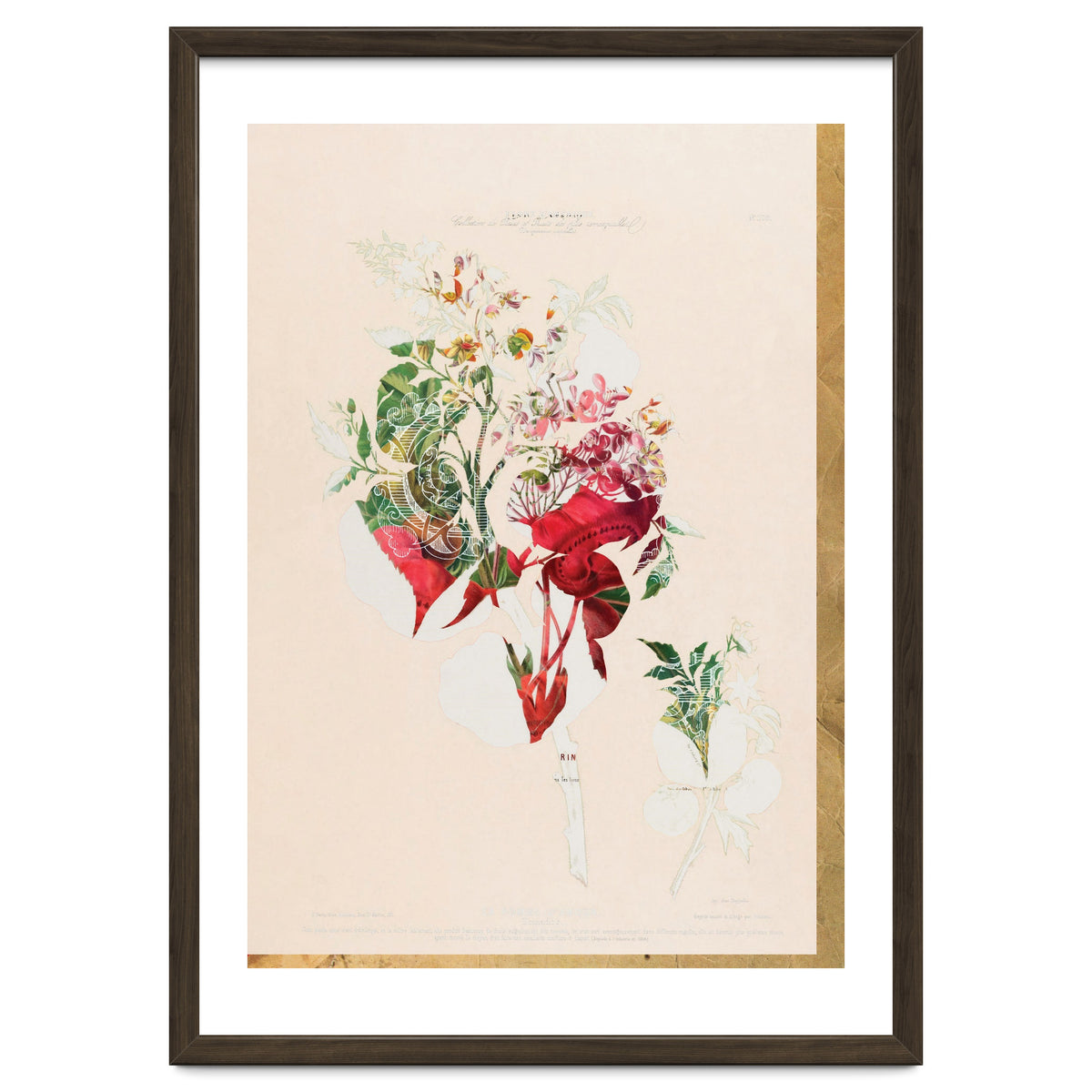 The First Plant · Aufbluehen