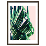 Palm V2 thumbnail