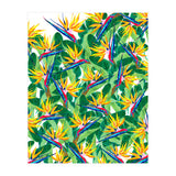 Summer Strelitzia (Print Only) thumbnail