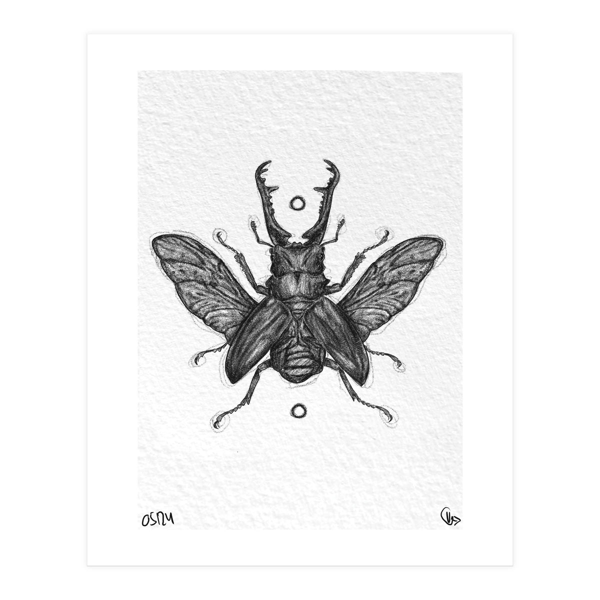 Giraffen Hirschkäfer (Print Only)