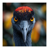 Close Up Of A Strikingly Beautiful Bird Face (Print Only)