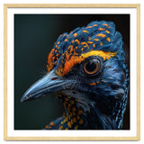 Close Up Of A Colorful Bird Head And Eye thumbnail