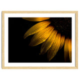 Backyard Flowers No 28 Sunflower thumbnail
