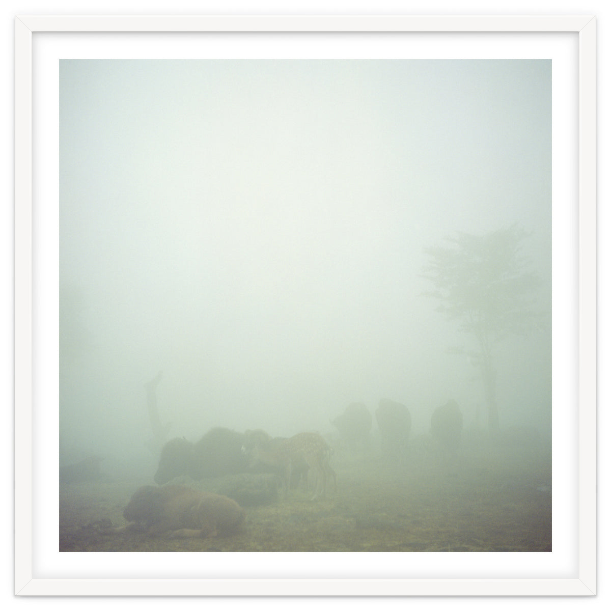 Silence of breath - 03