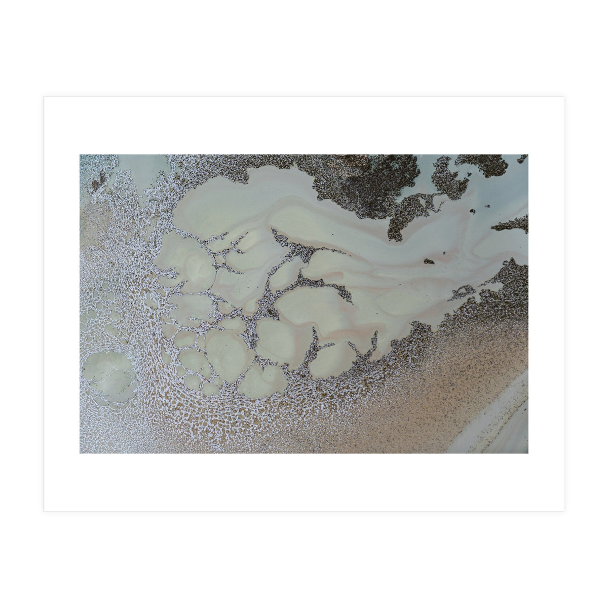 Shifting (Print Only)